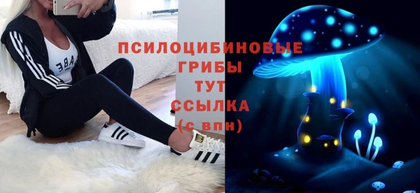 спайс Алексин