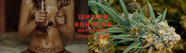 ПСИЛОЦИБИНОВЫЕ ГРИБЫ Алзамай