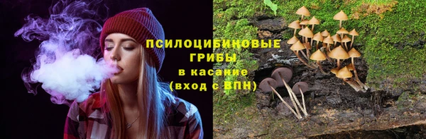 ПСИЛОЦИБИНОВЫЕ ГРИБЫ Алзамай