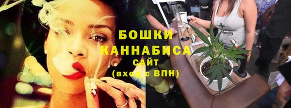 индика Россошь