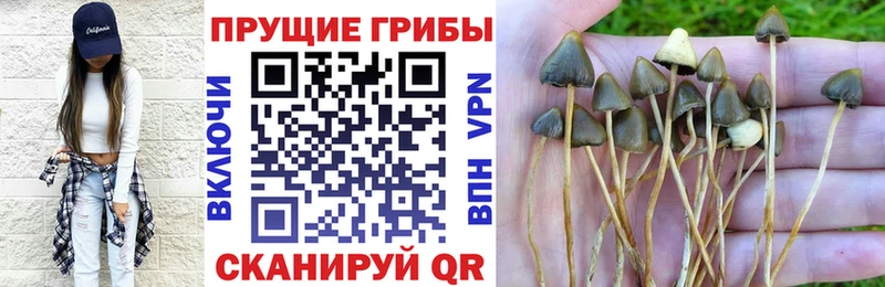 Псилоцибиновые грибы ЛСД  купить наркотик  мориарти Telegram  Кемь 